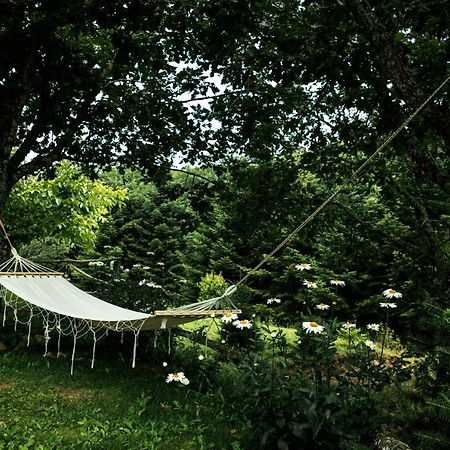 Guesthouse Rodamos 탁시아르히스 외부 사진