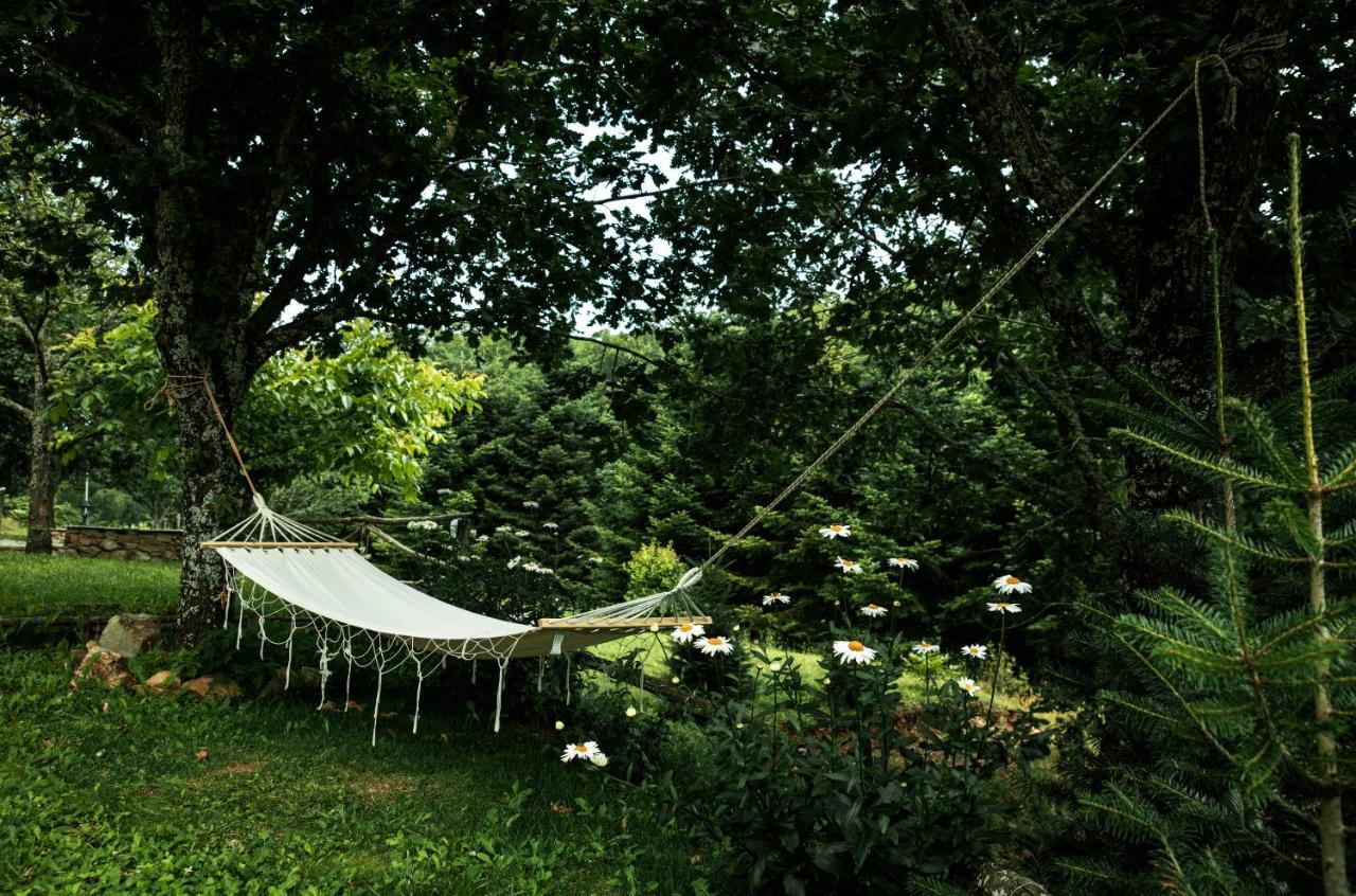Guesthouse Rodamos 탁시아르히스 외부 사진